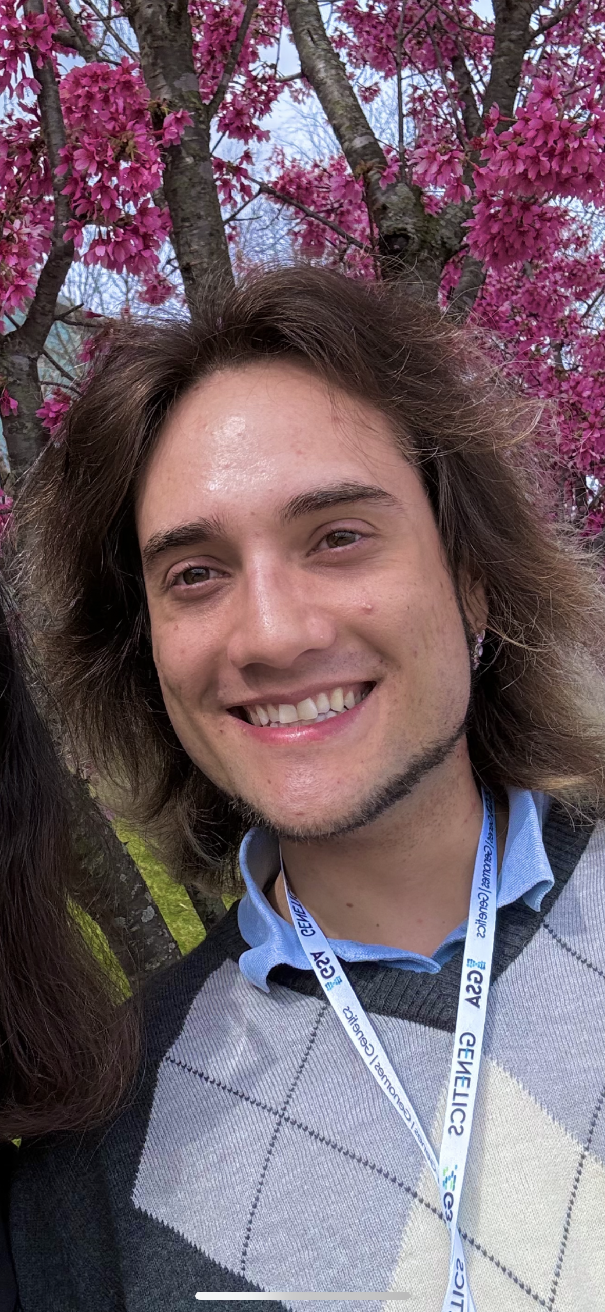 Picture of Soto